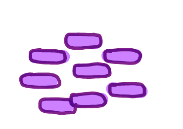 Illustration of Brevibacterium aurantiacum