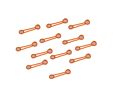 Illustration of Corynebacterium casei